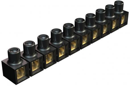 Dolü branch terminals, open on both sides, 10-pole