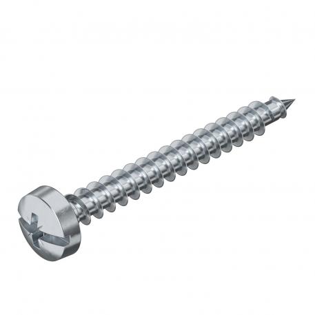 Sprint screw, with Philips slot