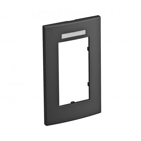 Cover frame AR45-BSF2, for accessory mounting box 71GD13, double, with labelling panel for vertical device installation 2 | Vertical