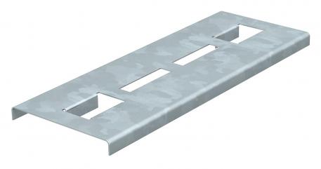 Rung support plate for the maintenance of electrical function FS